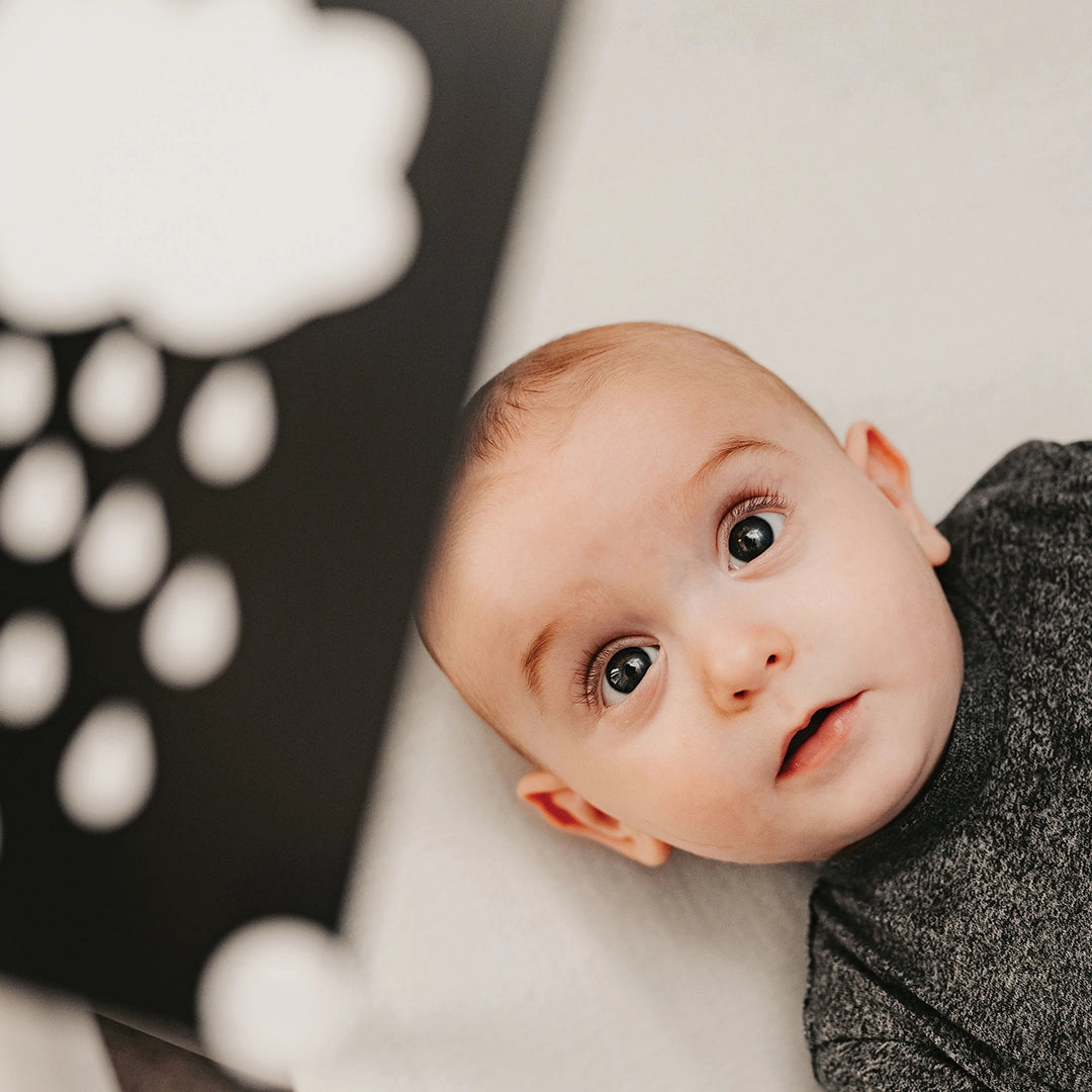 Newborn Sensory Flash Cards